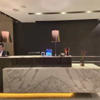 天然大理石鱼肚金 轻奢侈风家具台面家装别墅背景加工