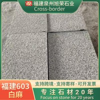 福建厂家直销芝麻白花岗岩黄金麻火烧板地砖黄锈石荔枝面