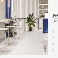 微抛水磨石瓷砖防滑耐脏600X1200卫生间厨房商场咖啡厅地砖仿古砖1片